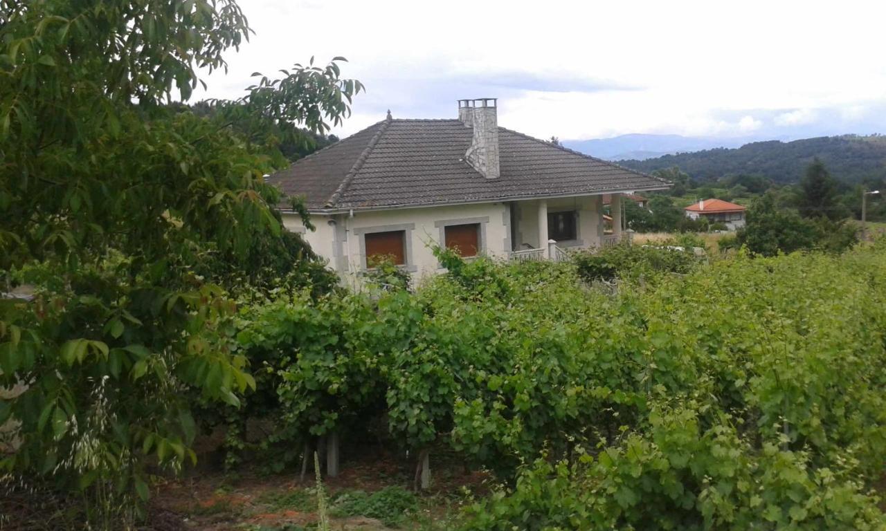 Villa Con Piscina En Panton Ribeira Sacra Galicia Ideal Para Familias 외부 사진
